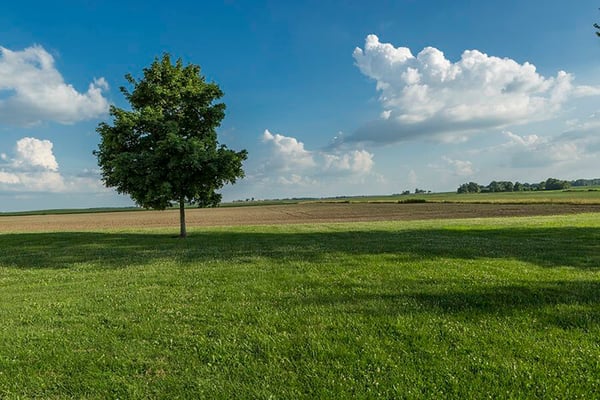 empty lot